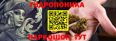 a pvp Лесосибирск