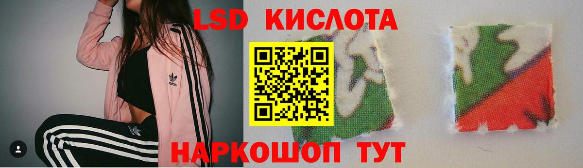 ЛСД экстази кислота  LSD-25 экстази кислота  Каменка  Вход с VPN 