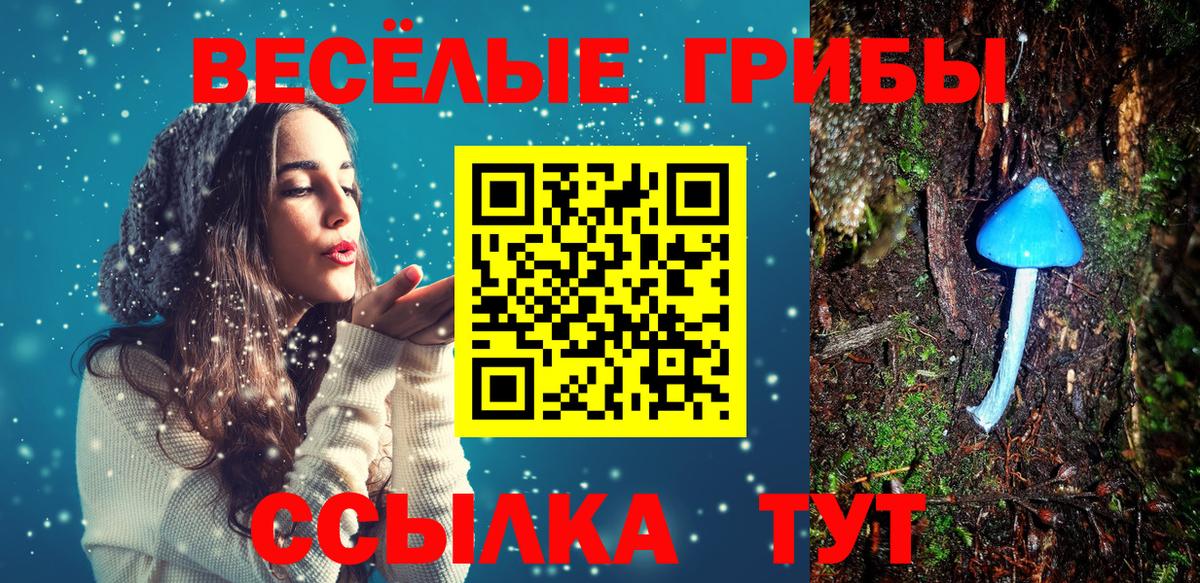 Галлюциногенные грибы GOLDEN TEACHER  сколько стоит  Каменка  Вход с VPN 