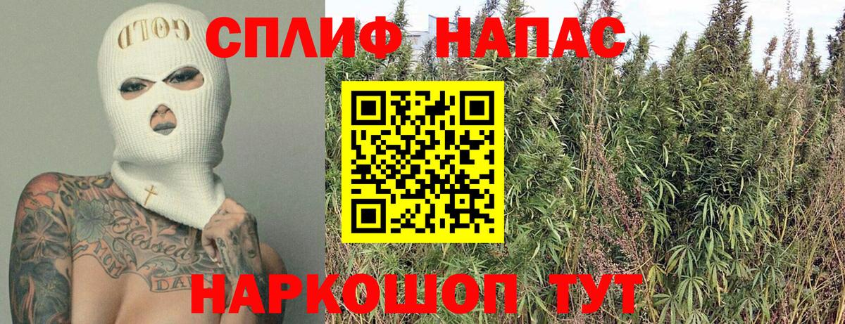 Канабис планчик Каменка
